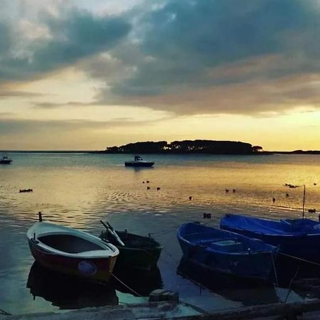 B&B Fior Di Mare Porto Cesareo Eksteriør bilde